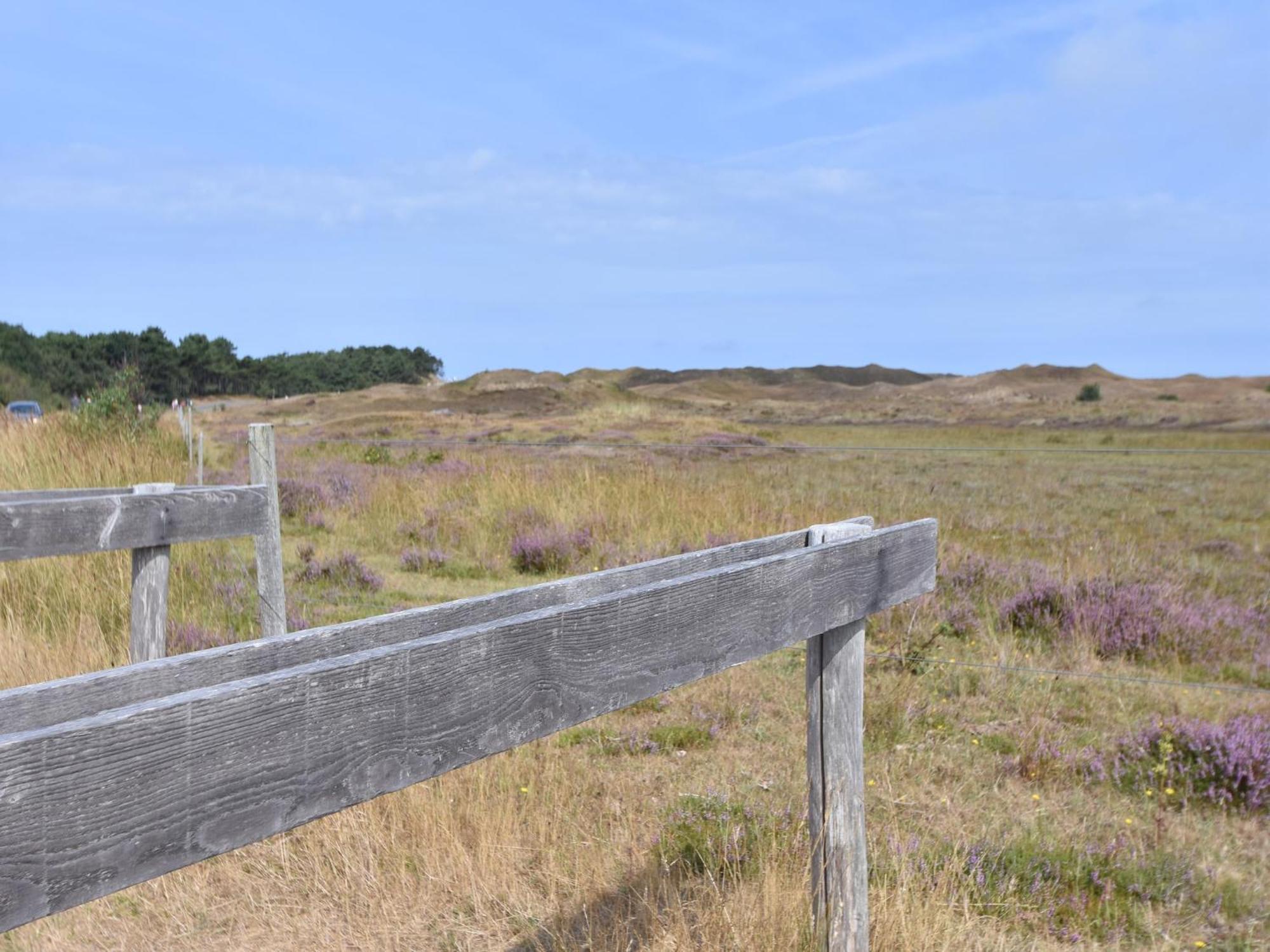 Lovely Holiday Home In Texel Near Sea Oost  Exteriér fotografie
